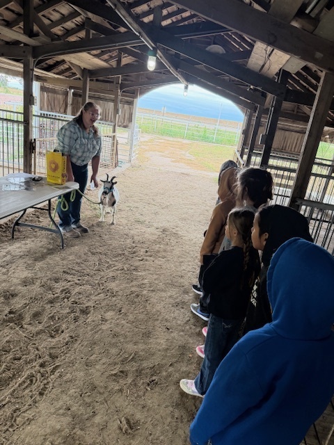 2nd grade students at Ag Day