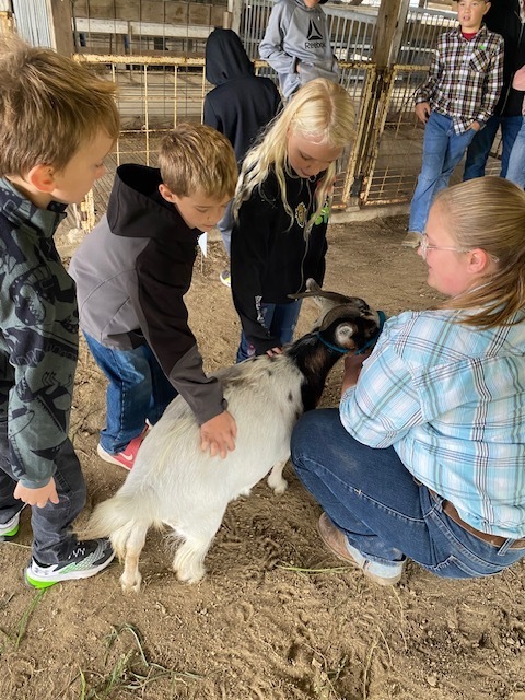 2nd grade students at Ag Day