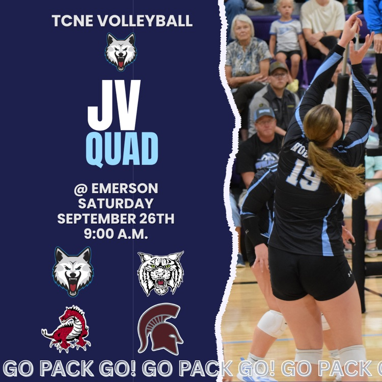 JV VB at Emerson 9am