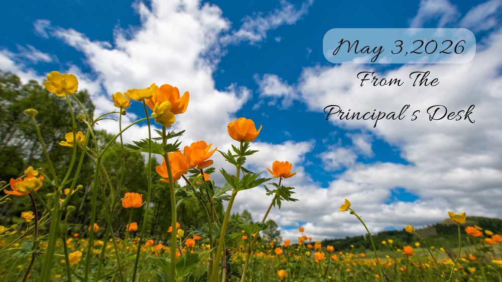 For May 3rd