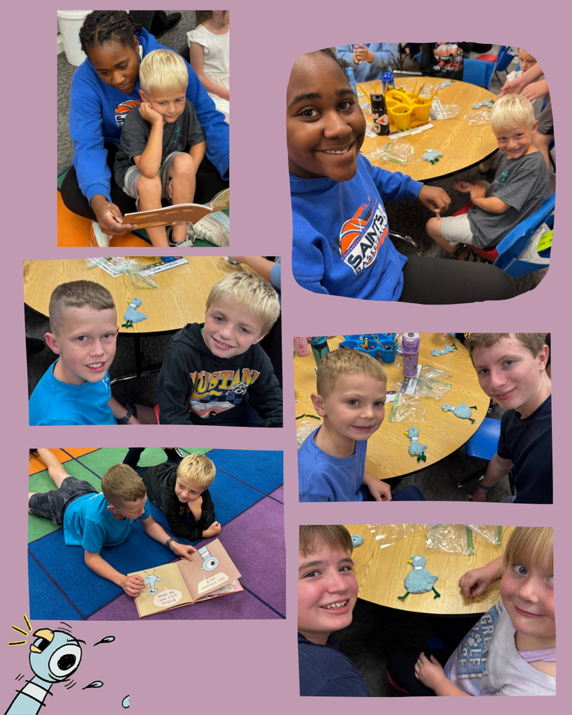 the pigeon has to go to school