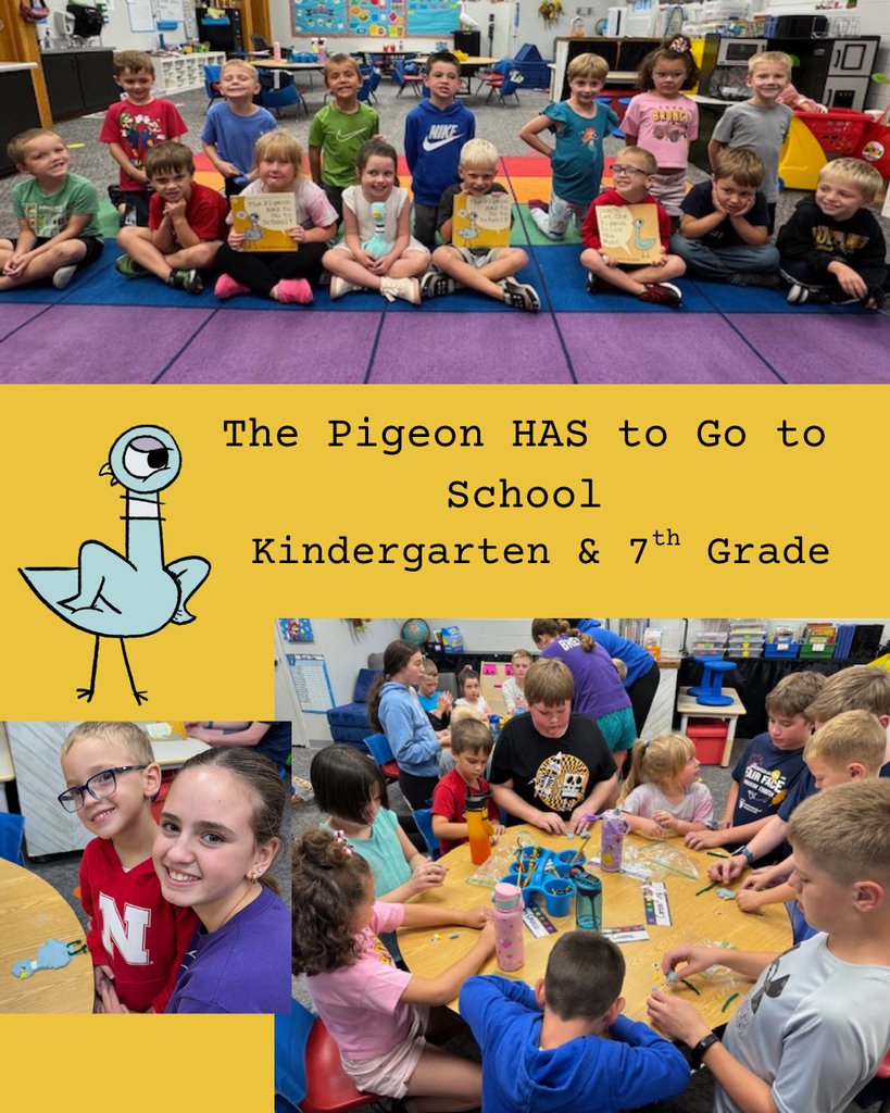 the pigeon has to go to school