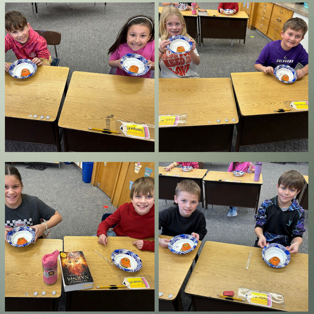 3rd Grade Plant Cells