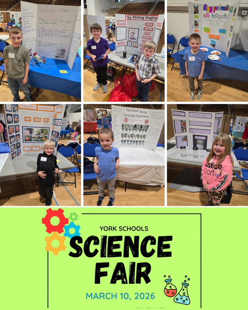 science fair