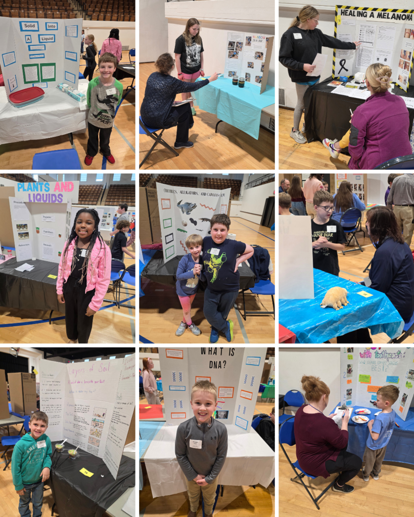 science fair