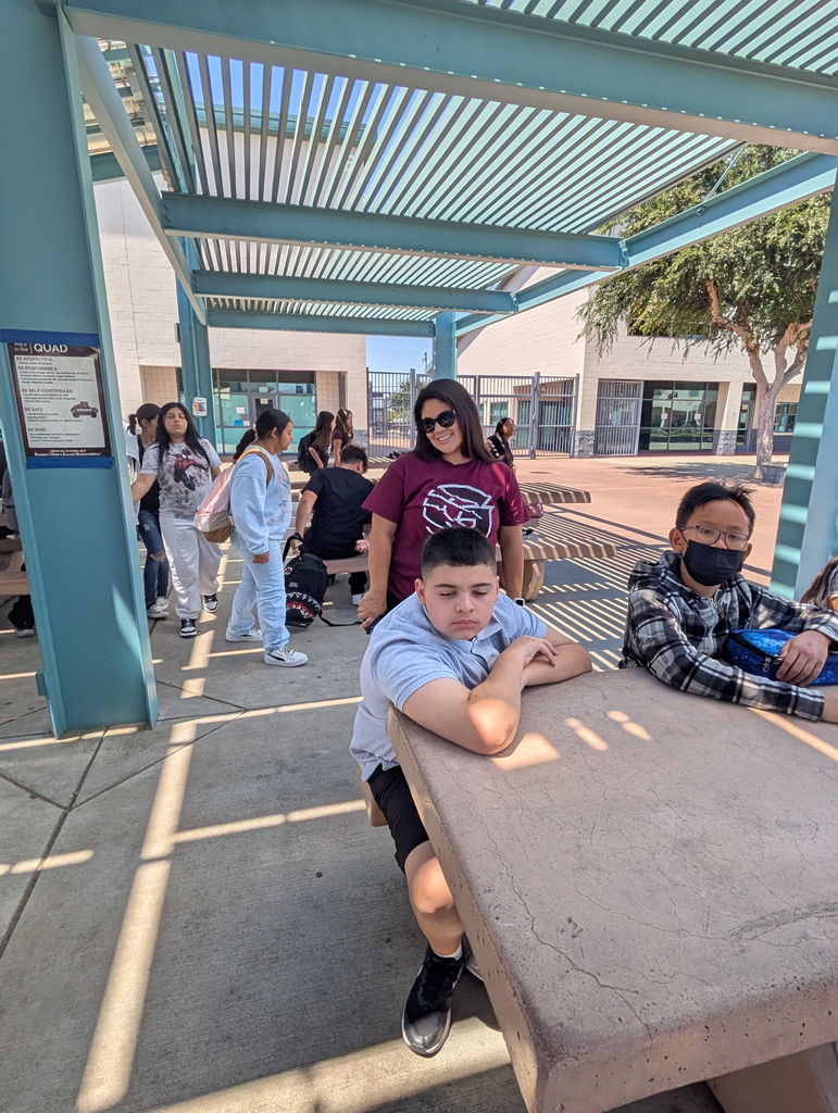Vice principal