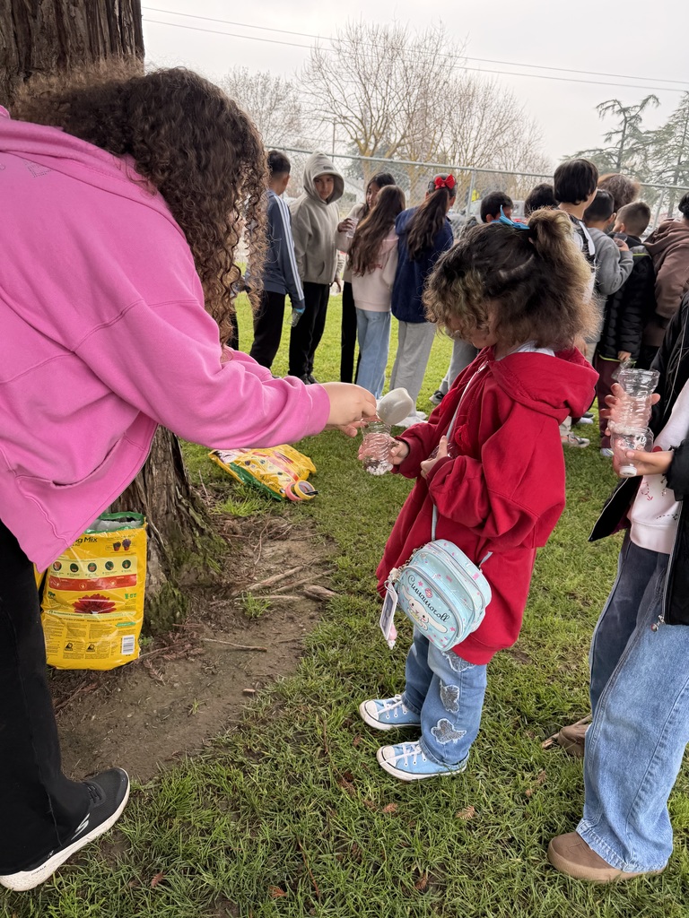 Student adding soil to their Self-Sustaining Ecosystem
