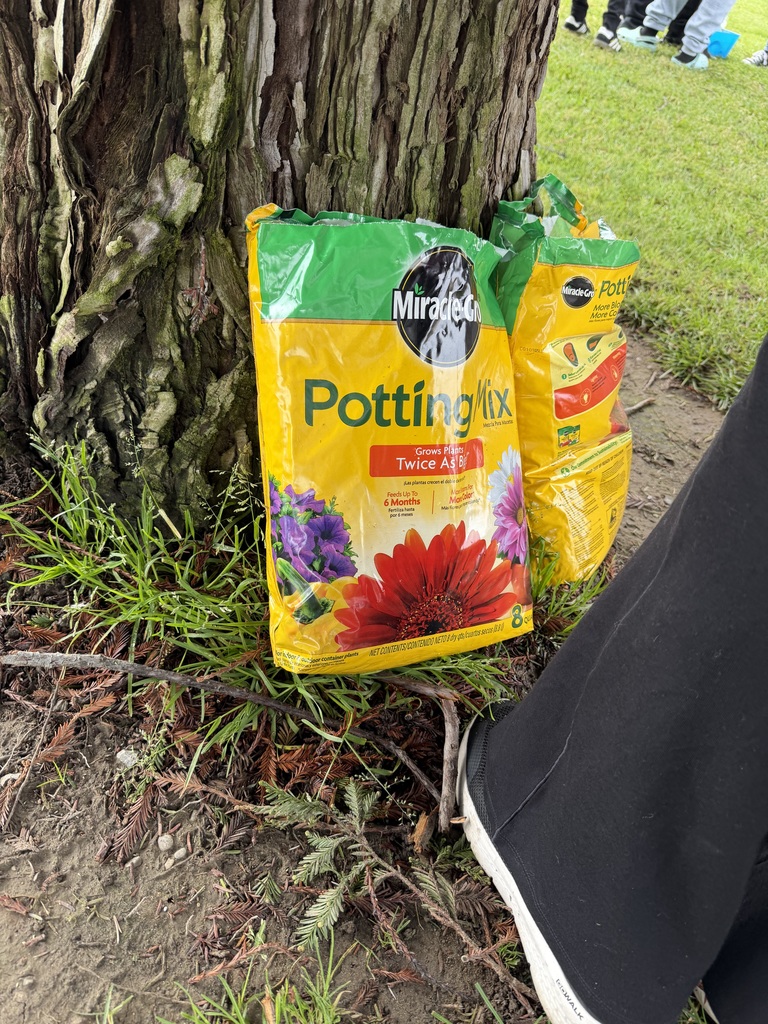 5th Grade students working on Self-Sustaining Ecosystem (Closed Ecosystem)