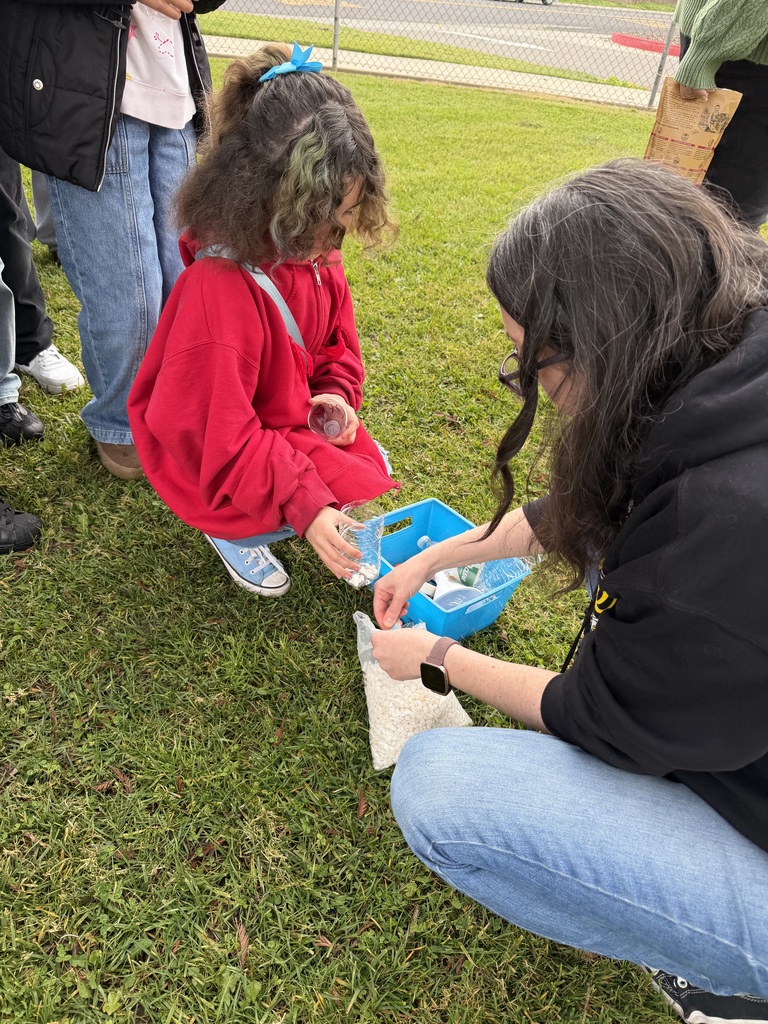 Student adding rocks to their Self-Sustaining Ecosystem