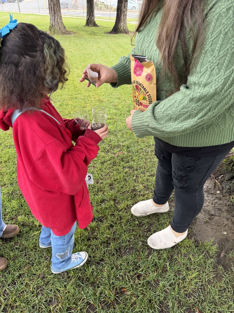 Student adding seeds to their Self-Sustaining Ecosystem