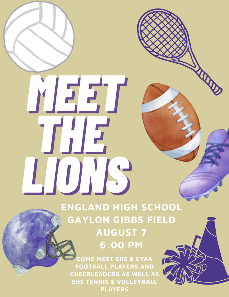 Meet the Lions