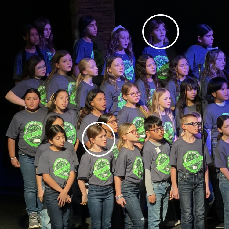 Circle the State With Song