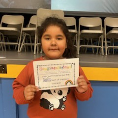 Lions LEVEL UP!💛🦁💙