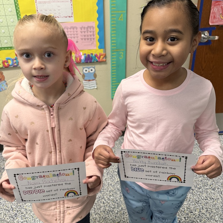 Lions LEVEL UP!💛🦁💙