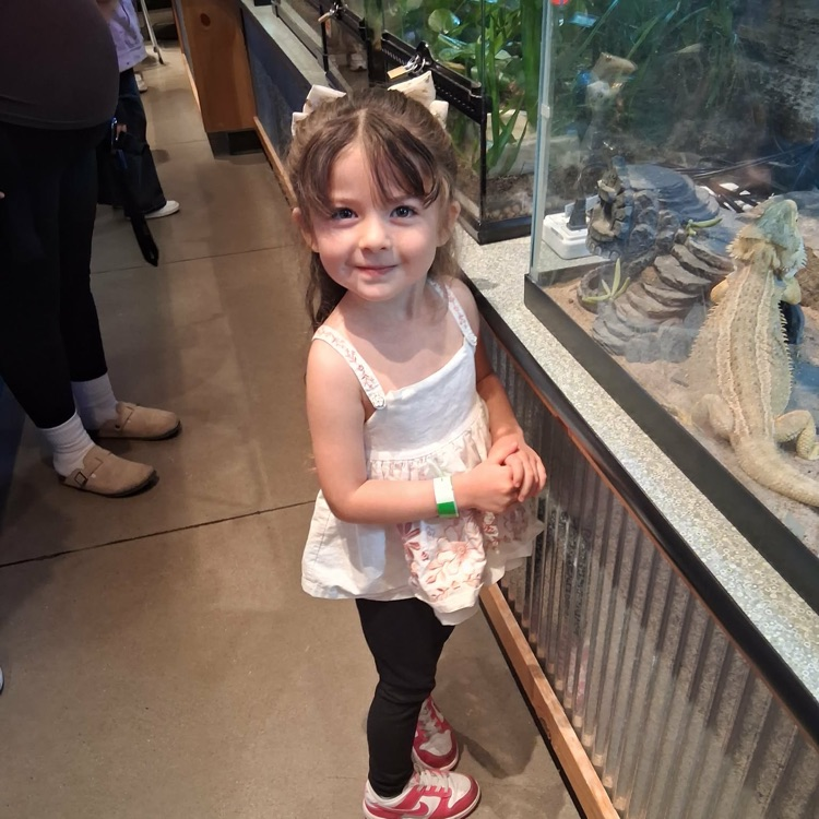 PK and first grade Lions visited Leonardo's. 💛🦁💙