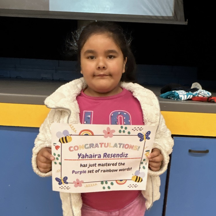 Lions LEVEL UP!💙🦁💛