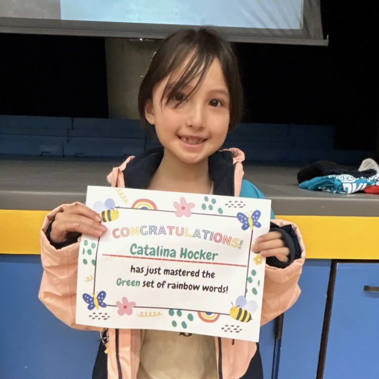 Lions LEVEL UP!💙🦁💛