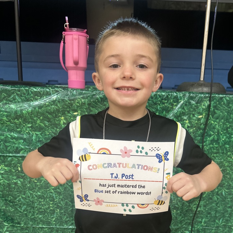 Lions LEVEL UP!💙🦁💛