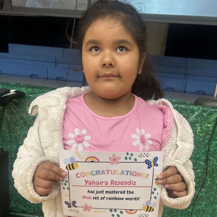 Lions LEVEL UP!💙🦁💛