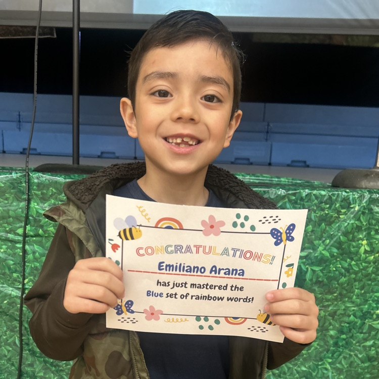 Lions LEVEL UP!💙🦁💛