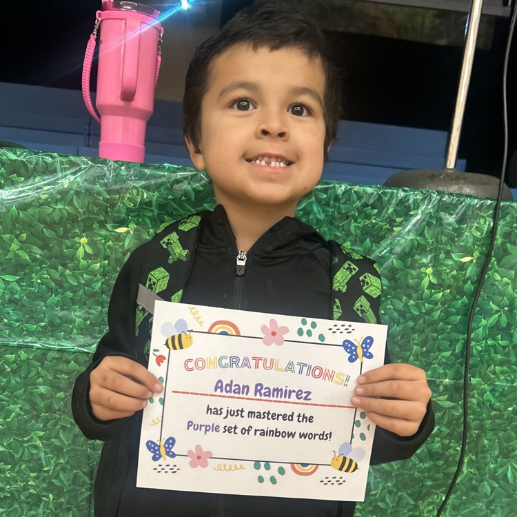 Lions LEVEL UP!💙🦁💛