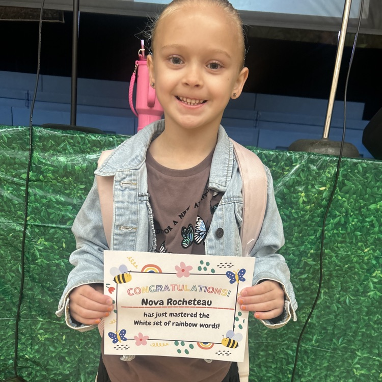 Lions LEVEL UP!💙🦁💛