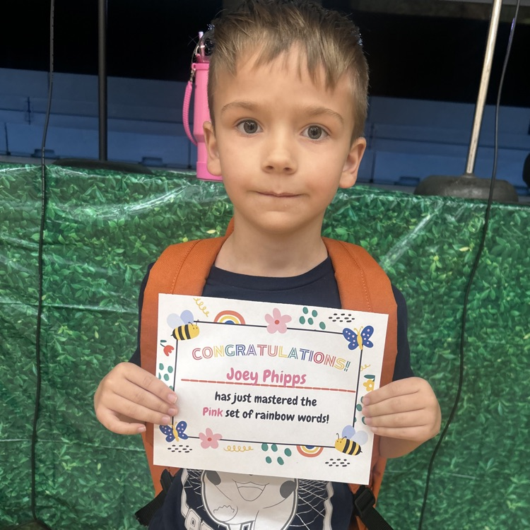 Lions LEVEL UP!💙🦁💛