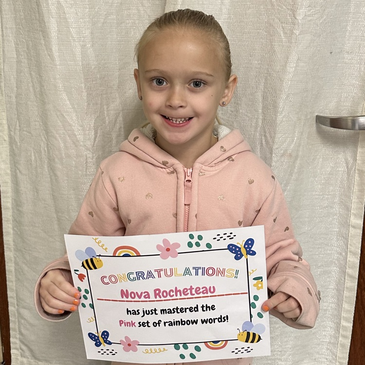 Lions LEVEL UP!💙🦁💛