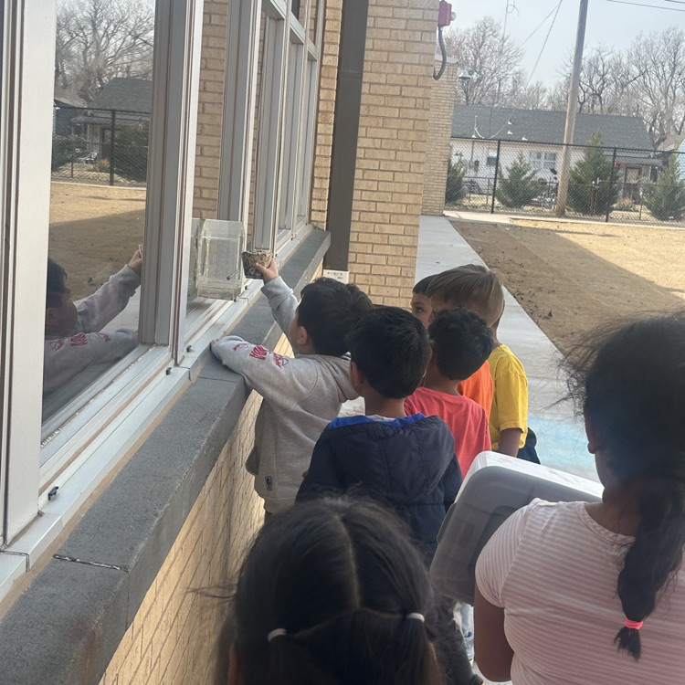 Lions lately!💙🦁💛