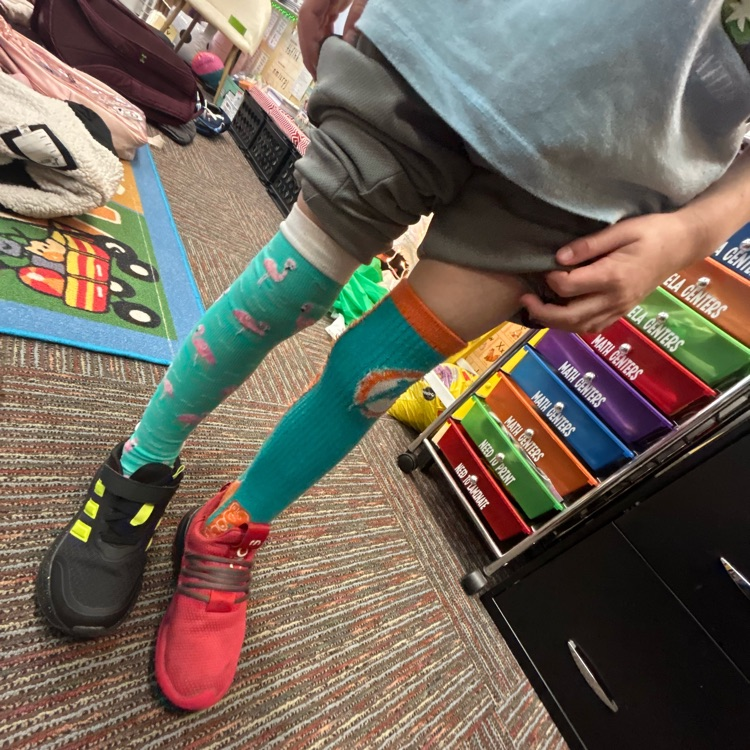 Read Across America-Silly Sock Day