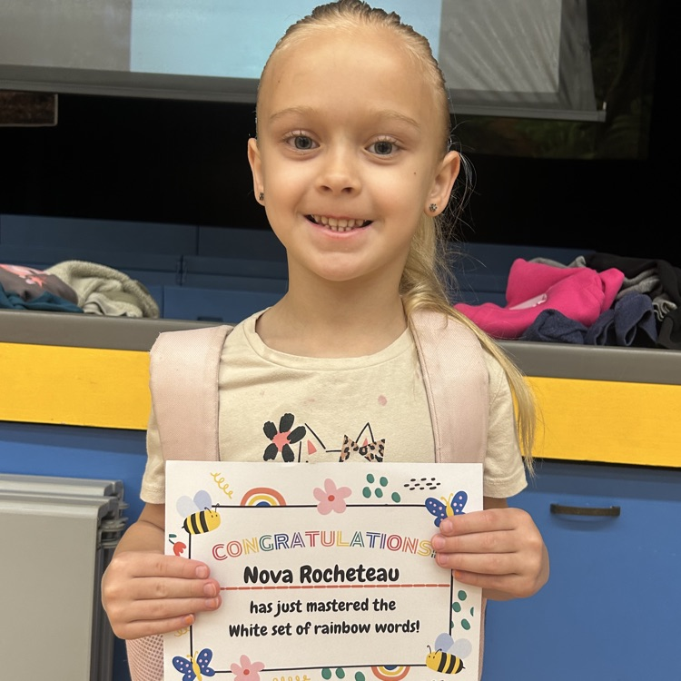 Lions LEVEL UP!💛🦁💙