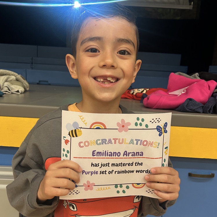 Lions LEVEL UP!💛🦁💙