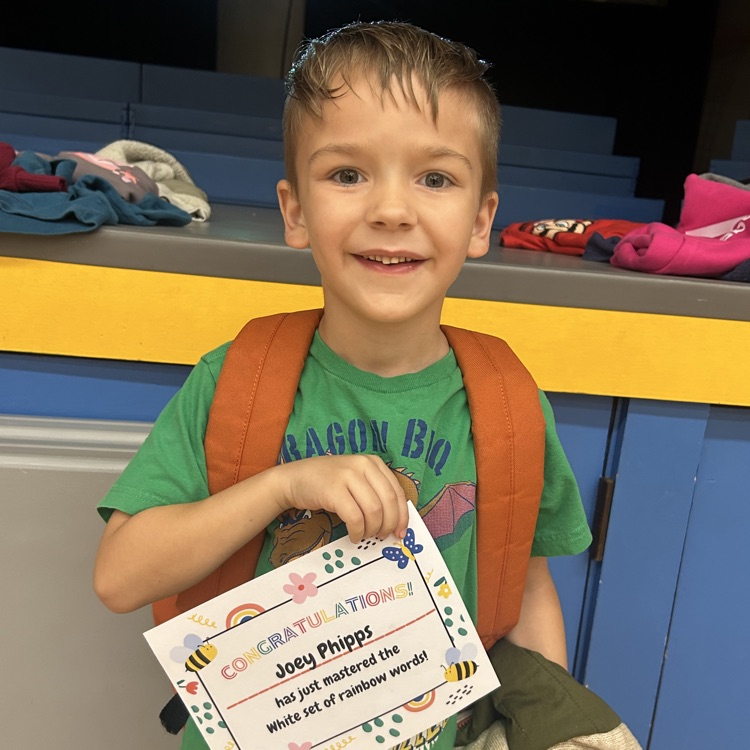 Lions LEVEL UP!💛🦁💙