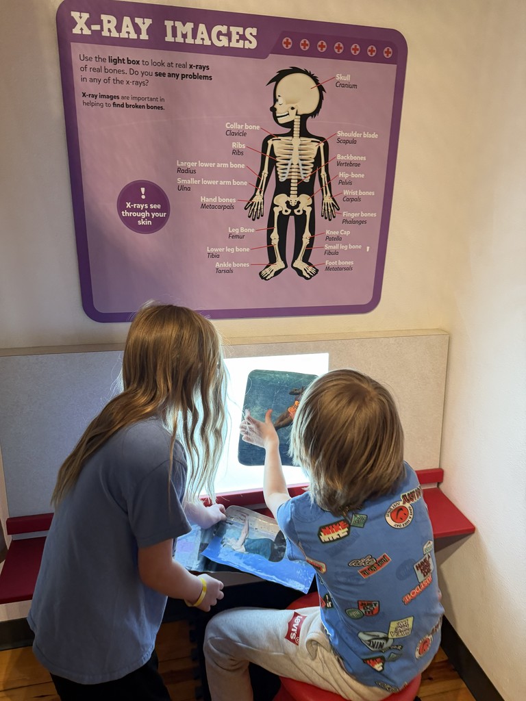 2nd grade at Leonardo's