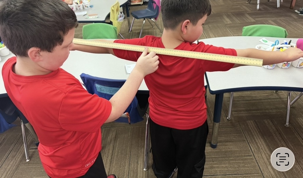 Centimeter measurement identity cards 