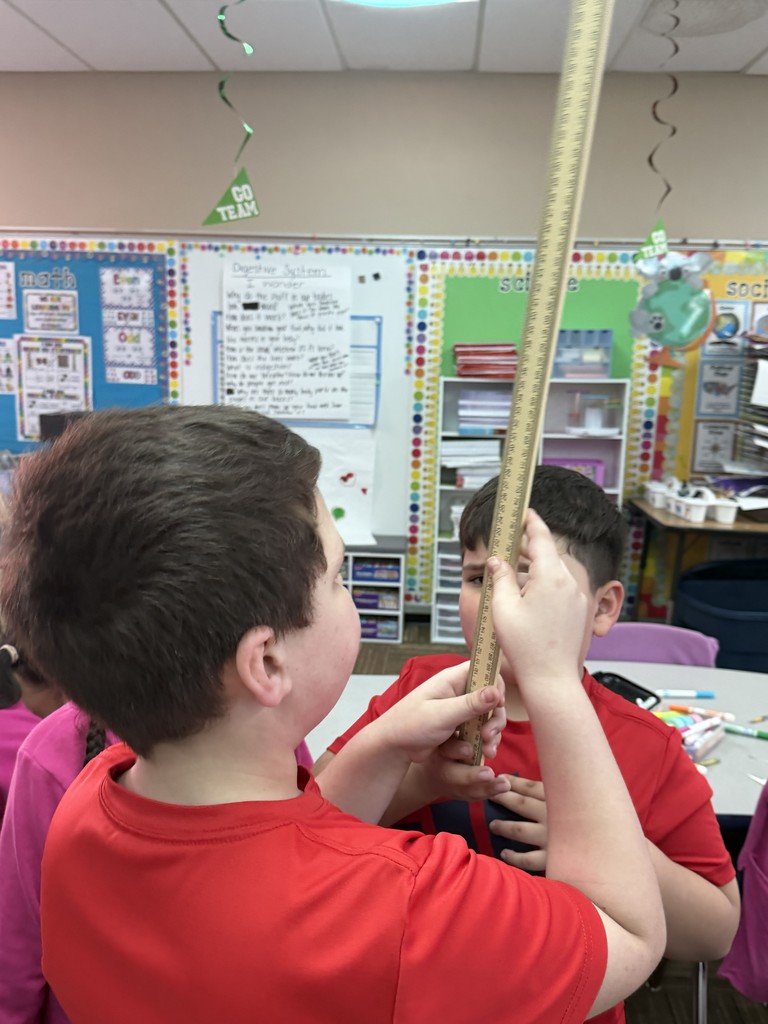 Centimeter measurement identity cards 