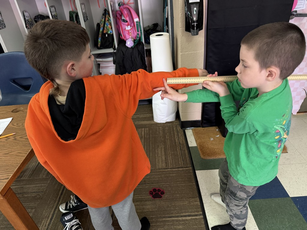 Centimeter measurement identity cards 