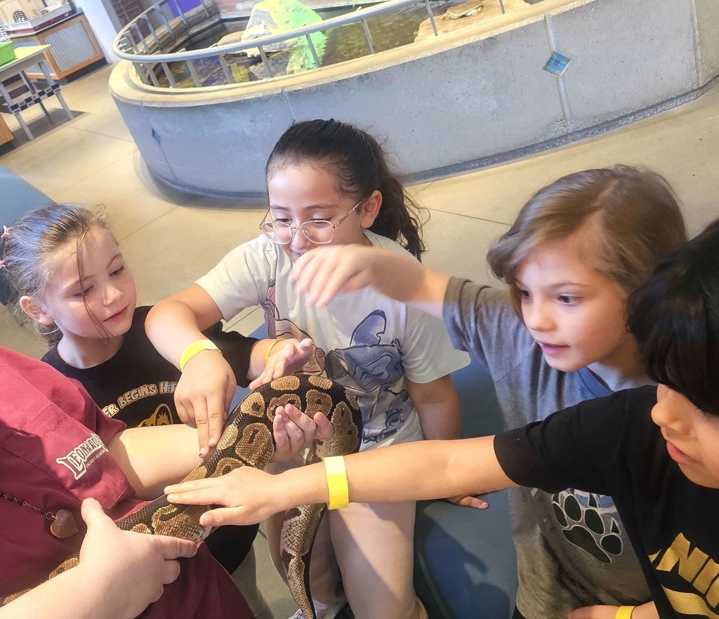 1st grade at Leonardo's