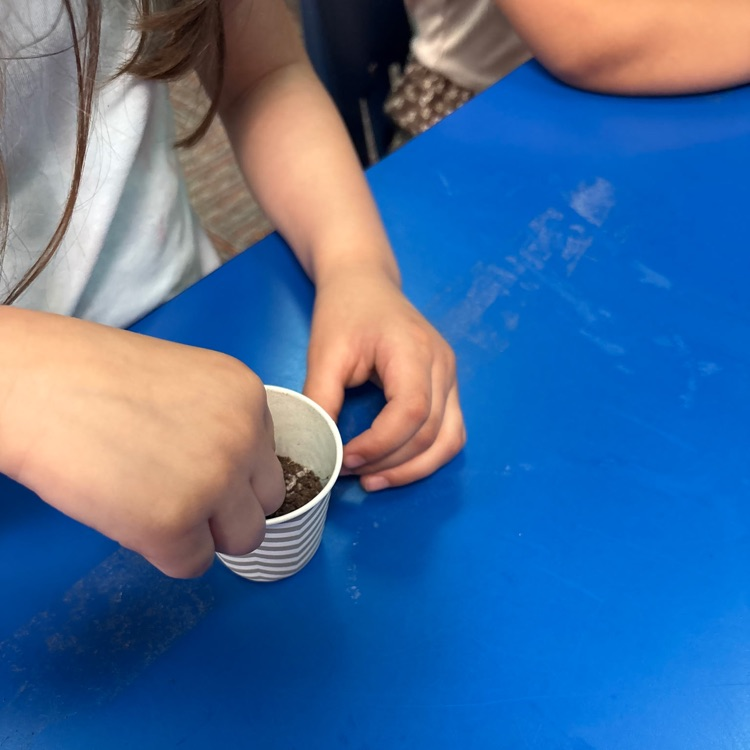 So much life happening around Monroe! Students have been watching chicks hatch and planting in our garden.