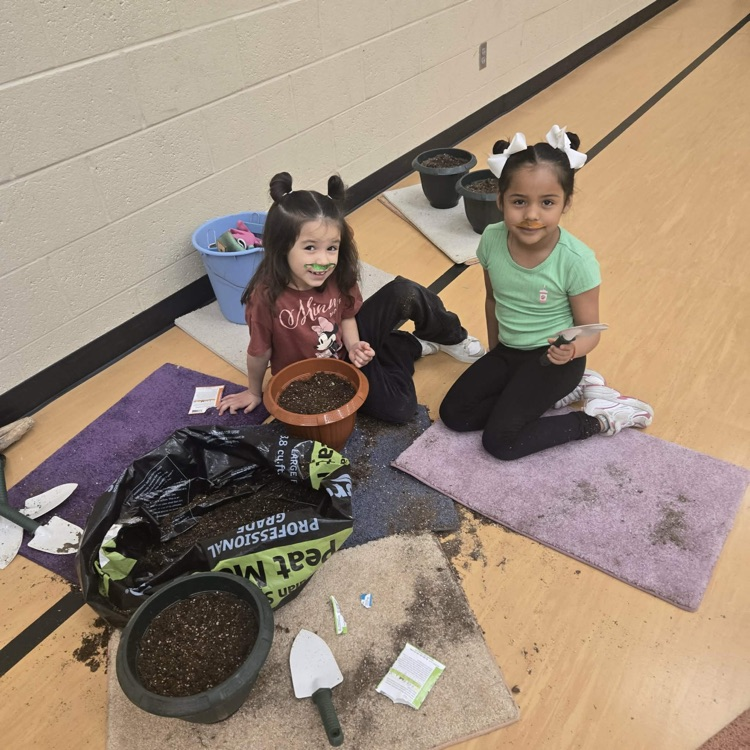 So much life happening around Monroe! Students have been watching chicks hatch and planting in our garden.