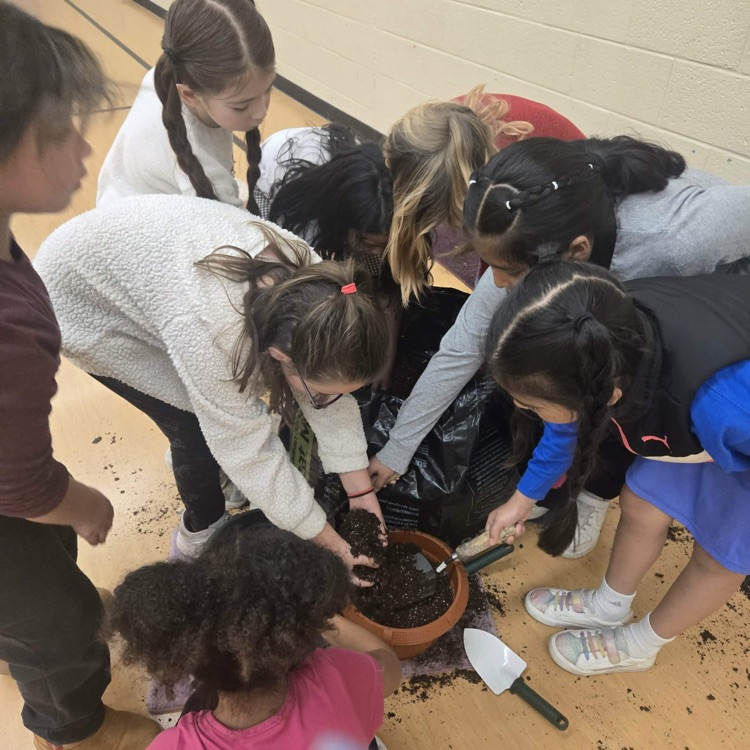So much life happening around Monroe! Students have been watching chicks hatch and planting in our garden.
