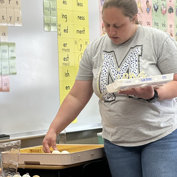 So much life happening around Monroe! Students have been watching chicks hatch and planting in our garden.
