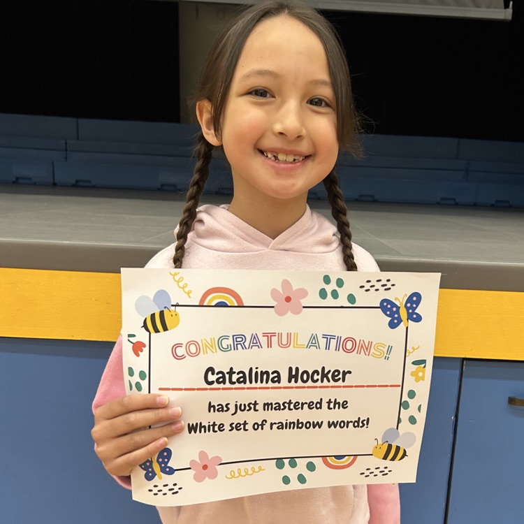 Lions LEVEL UP!💛🦁💙