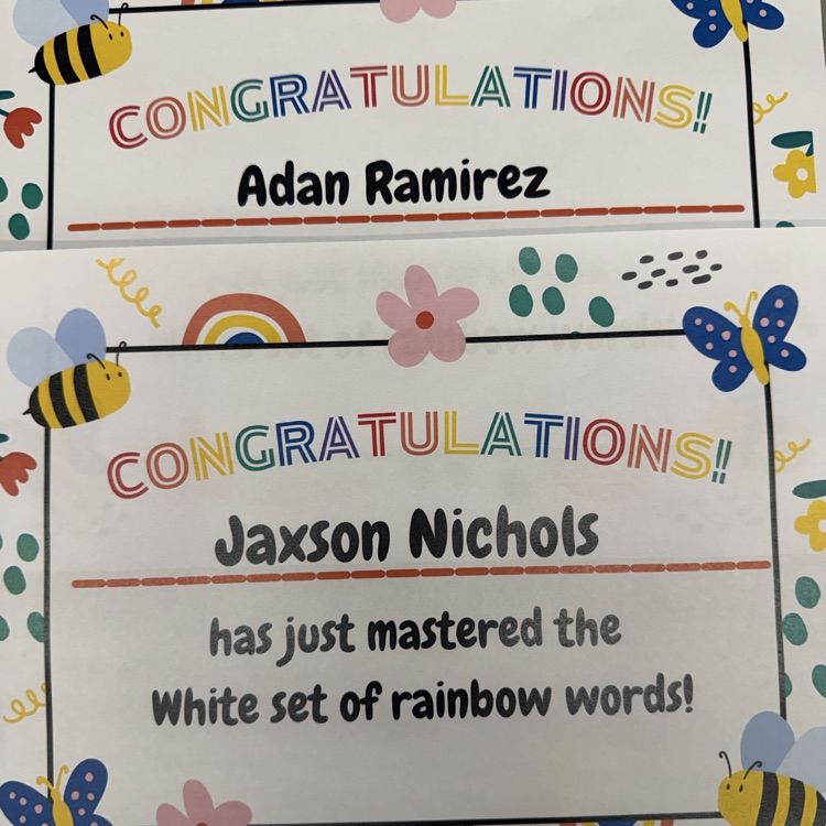 Lions LEVEL UP!💛🦁💙