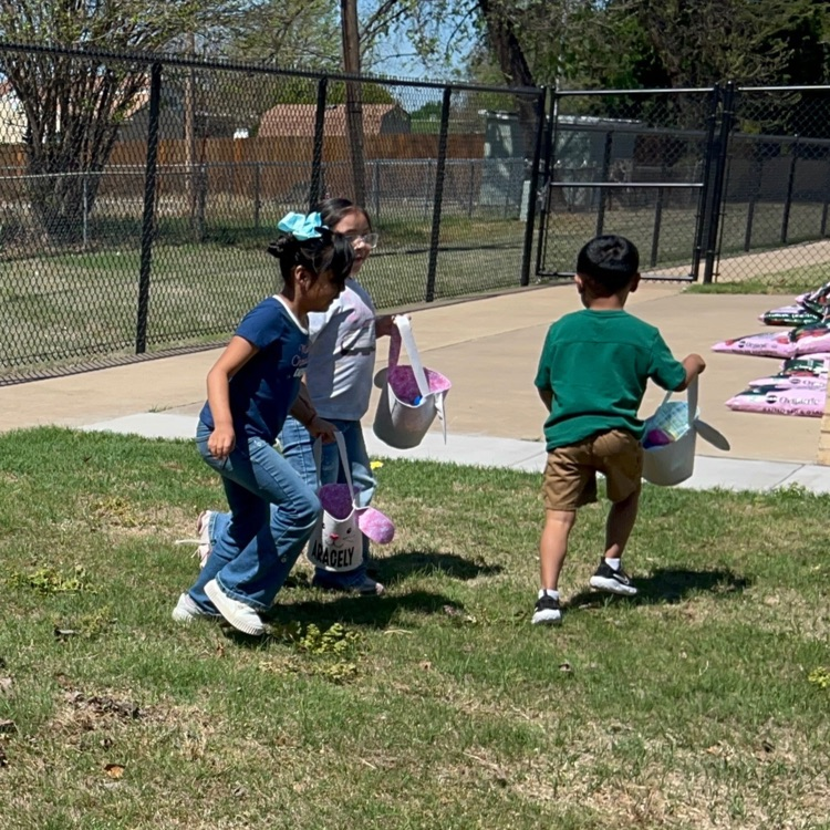 No April foolin'...we wish you a Happy Easter!🐰 🦁🐣