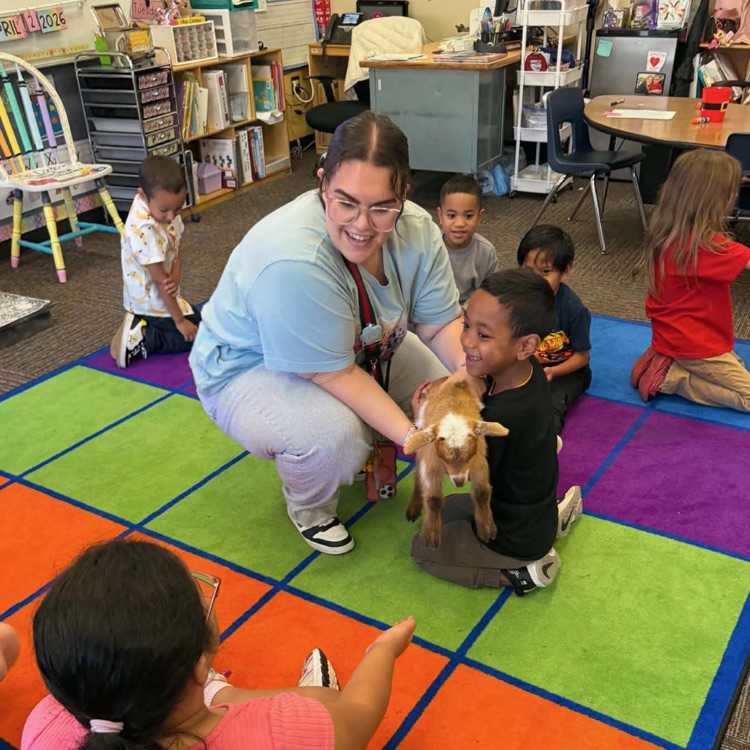 No April foolin'...we wish you a Happy Easter!🐰 🦁🐣