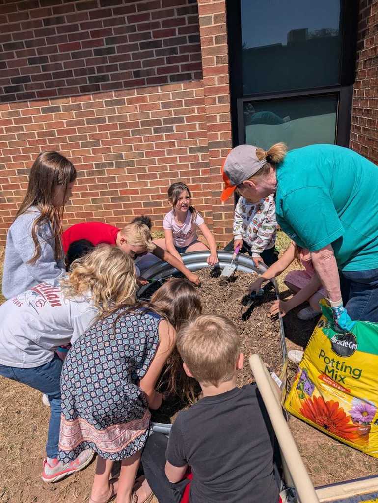 1st grade planting 