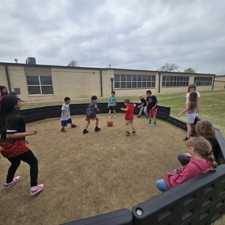 PE stations 💛🦁💙