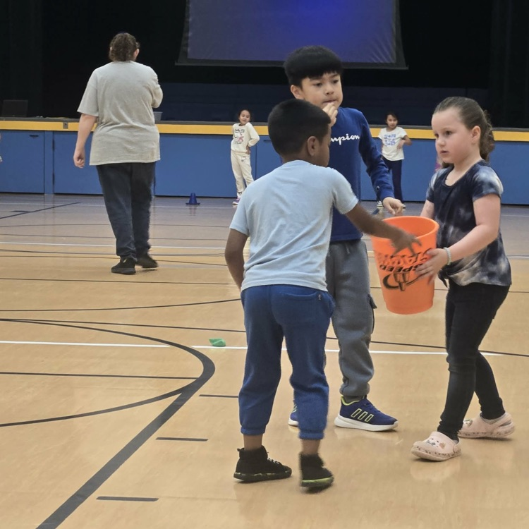 PE stations 💛🦁💙