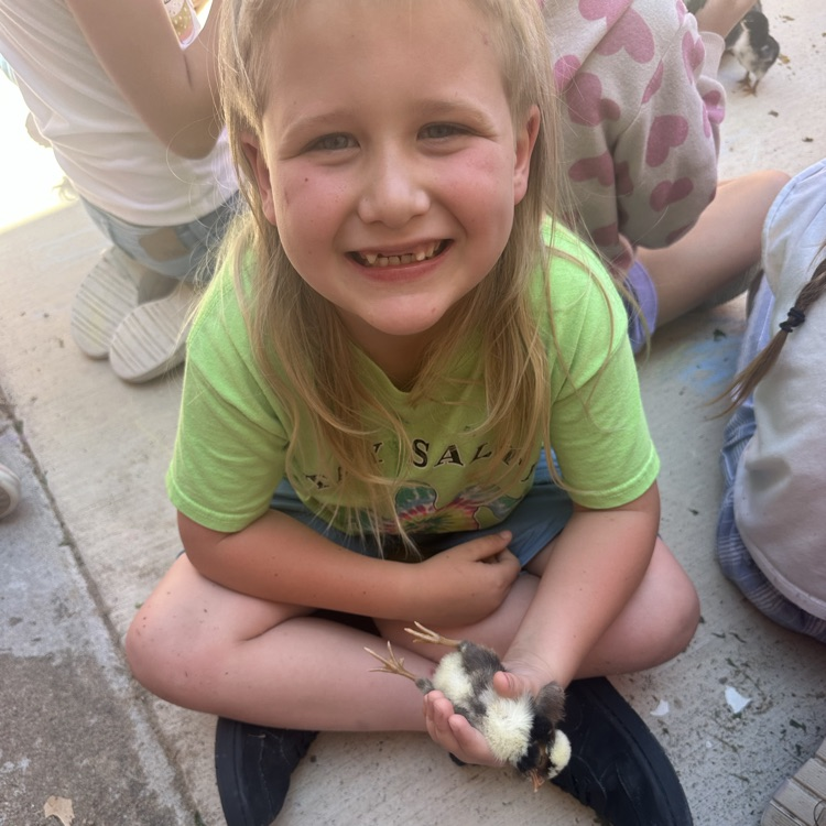 Chicks hatch for our Life Cycle studies!💙🦁💛